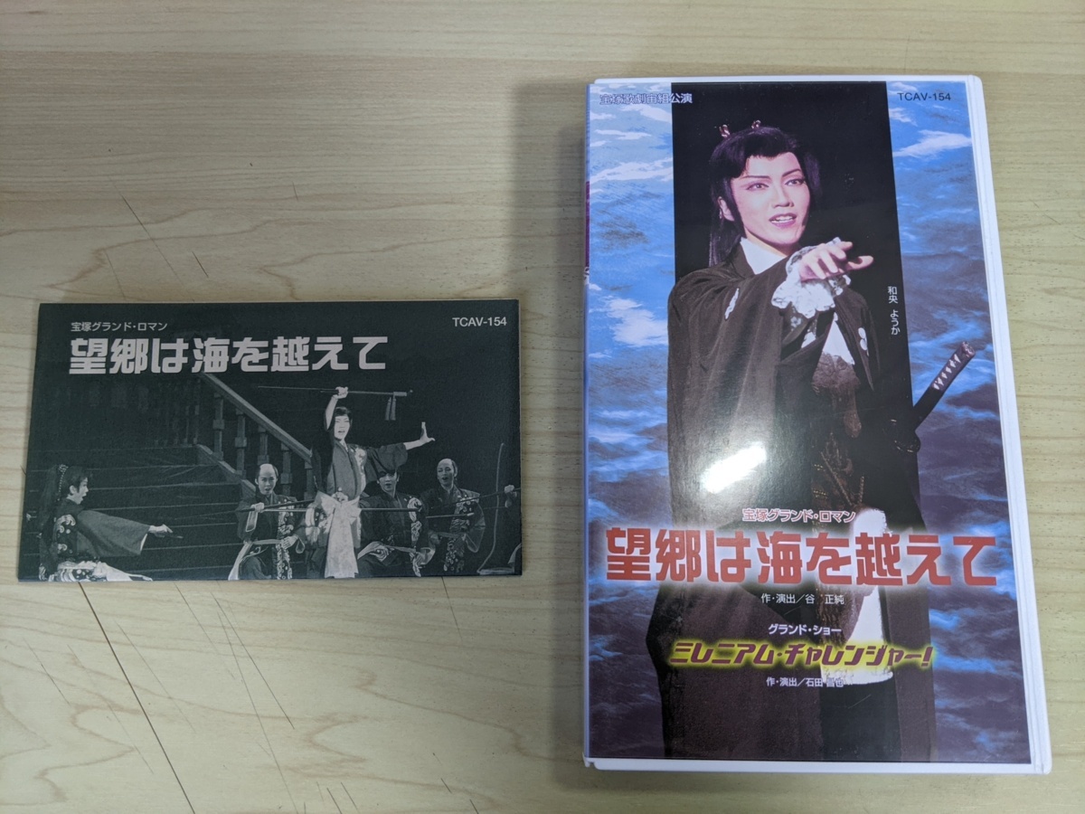 国産超激安 宝塚 ミレニアム チャレンジャー DVD QcYrJ-m38823801898