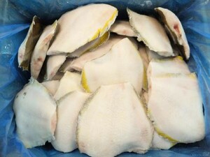  yellow gold flatfish cut .30 sheets 5kg×2 box =10kg