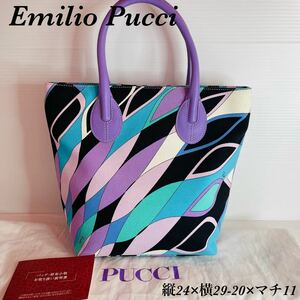 (Beauty!) Emilio Pucci Campus Handbag Tote Bag Emilio Pucci, Bag, Bag