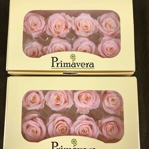 ミニーニのライトピンクが2箱 primaveraプリマヴェーラ プリザーブドフラワー