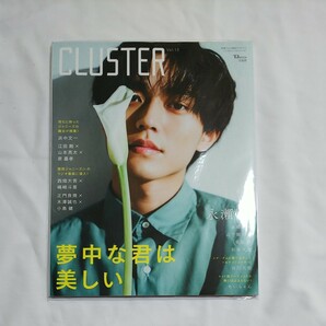 CLUSTER Vol.13 永瀬廉 (TJMOOK) 弱虫ペダル