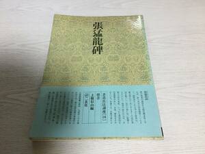 書道技法講座〈16〉楷書 北魏 張猛竜碑