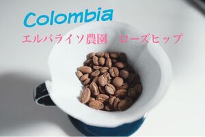 コーヒー豆 コロンビア エルパライソ農園 ダブルアナエロビック お試し付き Rabbit village