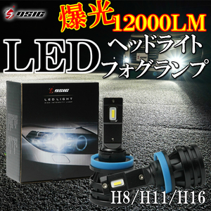 ☆1年保証☆80系 170系 シエンタ/140系 スペイド/30系 パッソ LED ヘッドライト フォグランプ H8/H11/H16 車検対応 12000LM ホワイト