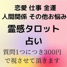 タロット占い　占い　恋愛　結婚　仕事　人間関係　金運　不倫　復縁　転職　運勢　離婚　片思い　送料無料　即決　鑑定　鑑定書　悩み_画像1