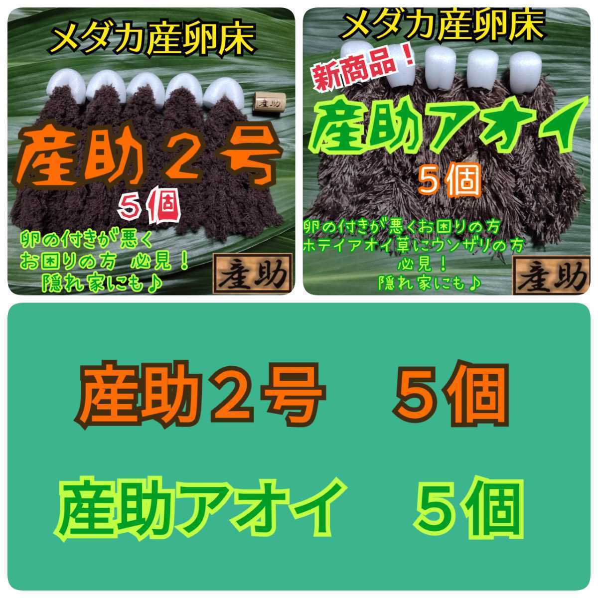 Sale 70 Off ｇｅｘ メダカ元気 卵のお守り産卵床 ８個入 ４色 ２ Riosmauricio Com
