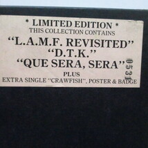 JOHNNY THUNDERS-Album Collection (UK Ltd. Numbered 3xLP+12/_画像3
