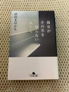 彼女がその名を知らない鳥たち　沼田まほかる