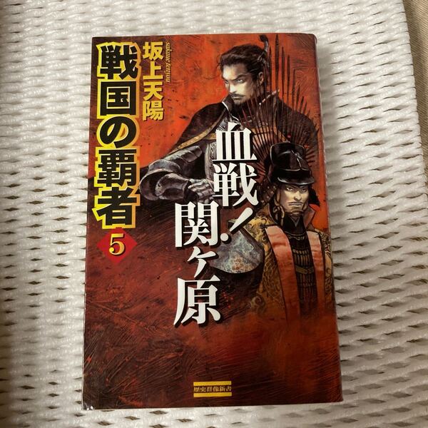 戦国の覇者 (5) 血戦! 関ケ原 歴史群像新書/坂上天陽 (著者)