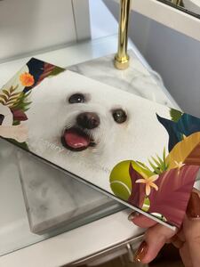 perfect dairyアイシャドウパレット