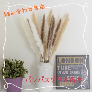 Pampas Grass Dried Flower Tail Lead 15 Pieces Set 15 Pieces Combination from 4 Colors