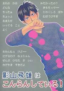 ハイキュー!!同人誌「影山飛雄はこんらんしている！」《影日》