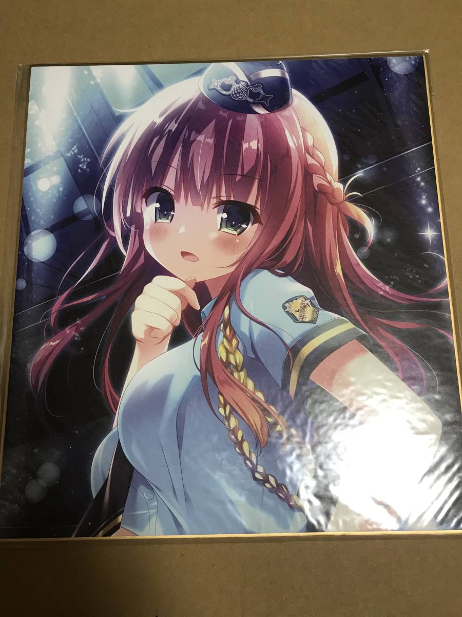 ▽【未開封品・送料無料】ロングクッション kino(きのこのみ)先生