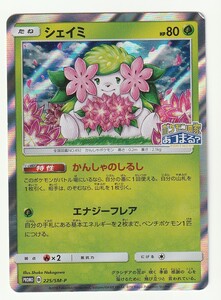 ヤフオク ポケモンセンター 中川翔子の中古品 新品 未使用品一覧 ヤフオク ポケモンセンター 中川翔子の中古品 新品 未使用品一覧