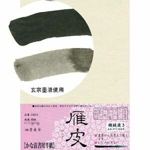 書道用紙 半紙 かな用 墨運堂 かな半紙 雁皮 40枚 (24211) 仮名半紙 書道紙 書道 用品 用具