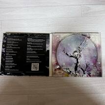 希少 ZONE THE DARKNESS THE N.E.X.T CD ZORN THE NEXT_画像2