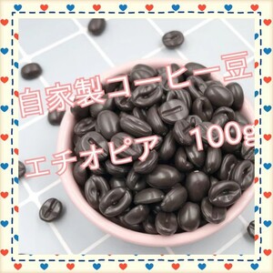 自家製コーヒー豆 100g エチオピア コーヒー