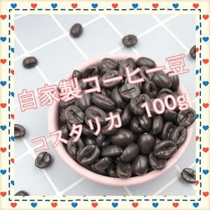 自家製コーヒー豆 100g マンデリン コーヒー