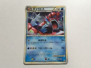 色違い 赤いギャラドスの値段と価格推移は 8件の売買情報を集計した色違い 赤いギャラドスの価格や価値の推移データを公開 色違い 赤いギャラドスの値段と価格推移は 8件の売買情報を集計した色違い 赤いギャラドスの価格や価値の推移データを公開