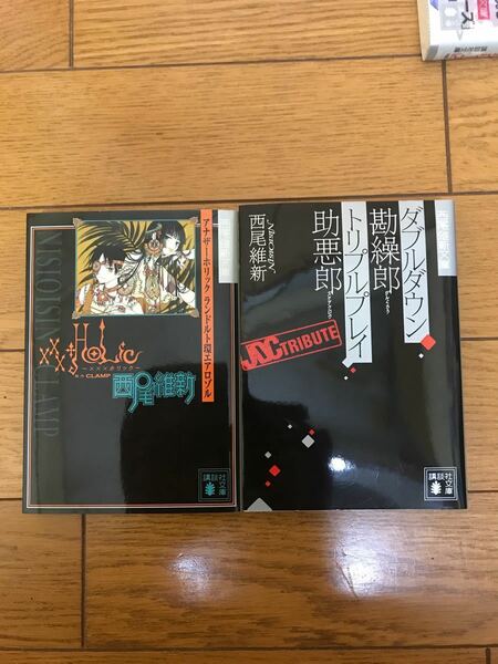 「ダブルダウン勘繰郎　トリプルプレイ助悪郎」、「アナザーホリックランドルト環エアロゾル」の２冊。　西尾維新　講談社文庫