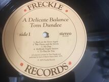Tom Dundee★中古LP/USオリジナル盤「トム・ダンディ～A Delicate Balance」_画像4