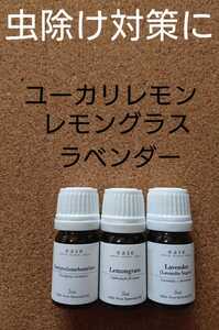【送料無料】虫除け対策に■精油3本■ユーカリレモン&レモングラス&ラベンダー■5ml■