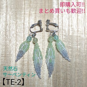 2mmビーズ 天然石 イヤリング 羽根モチーフ ハンドメイド【TE-2】