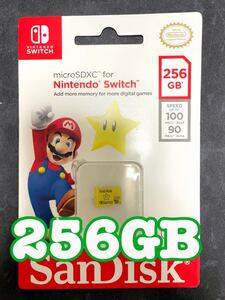 マイクロSDカード 256GB