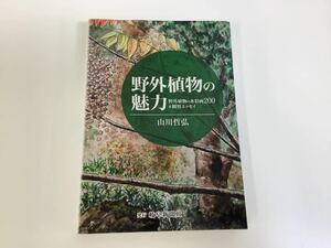 野外植物の魅力 野外植物の水彩画200&観察エッセイ / 山川 哲弘 / 発行 岐阜新聞社 / 植物学 / 水彩画【ta02f】