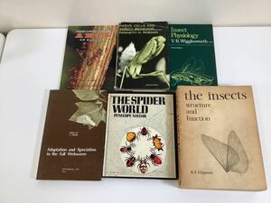 昆虫に関する洋書　6冊セット　英語/insect/アリ/クモ/毛虫/虫/生態【ta01f】