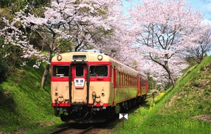  鉄道 デジ 写真 画像 いすみ鉄道 キハ28 52 桜 2018年 5