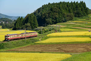 鉄道 デジ 写真 画像 えちごトキめき鉄道 413系 455系 国鉄急行色 2