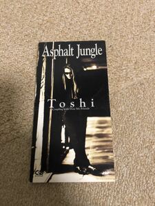 Toshi(X JAPAN)／asphalt jungle
