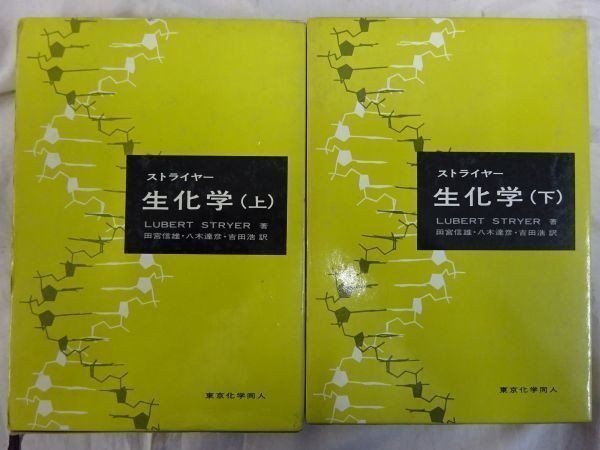 2023年最新】Yahoo!オークション -ストライヤー生化学の中古品・新品