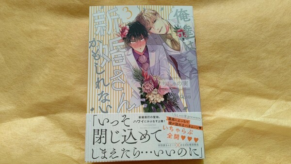 俺達は新婚さんかもしれない3巻 特典ペーパー2枚付き 