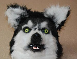 Husky/ husky dog / becomes .. animal moving mask!.. synchronizated . really move .[Husky/ husky dog ] new goods unused 