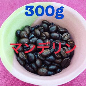 焙煎コーヒー豆 マンデリン300g 土日限定 当日焙煎