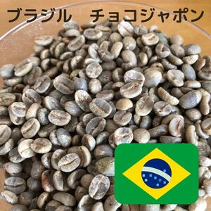 ブラジル チョコジャポン 生豆 800g