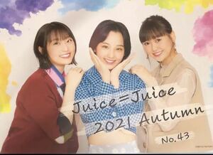 【集合・43】コレクションピンナップポスター ピンポス Juice=Juice 2021 AUTUMN