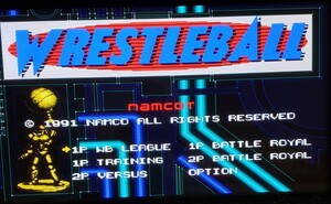 【動作確認済】NAMCO レッスルボール メガドライブ版
