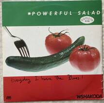 直筆サイン入り見本盤LP ウシャコダ WSHAKODA/パワフル・サラダ Powerful Salad 藤井康一_画像1