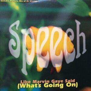 【極美品】Speech / Like Marvin Gaye said ( What's Going On ) 12inch EP Arrested Development