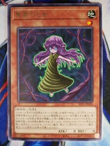 ◇A6468◇遊戯王OCG・聖蔓の乙女 レア SLT1-JP028・美品◇