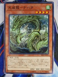 ◇A6545◇遊戯王OCG・天威龍－ナハタ ノーマル RIRA-JP015・美品◇