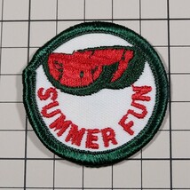 PI256 夏の楽しみ スイカ 刺繍 丸形 ワッペン パッチ SUMMER FUN_画像1