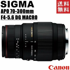  Sigma SIGMA APO 70-300mm F4-5.6 DG MACRO Canon for seeing at distance zoom lens full size correspondence single‐lens reflex camera used 