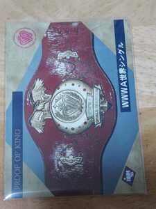 女子プロレスカード　1995BBMプロレスカード　全日本女子プロレス　WWWA世界シングルベルト