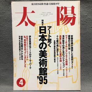 太陽 特集: アート驚く日本の美術［美術館 博物館 コレクター 池田満寿夫 宮本隆司 コンテンポラリーアートミュージアム 森村泰昌 平凡社］