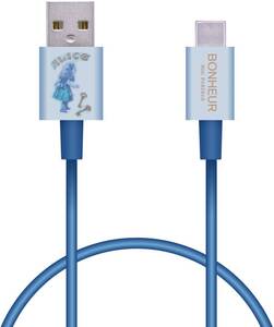 Type-Cケーブル A-C 1.0m アリスのパーティ