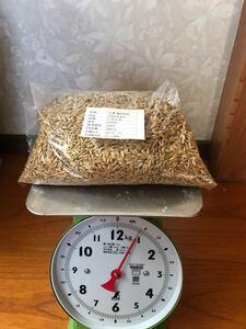 麦茶用六条大麦殻付き700g 